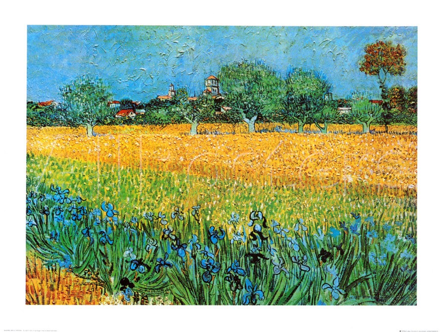 View of Arles with Irises - Van Gogh Painting On Canvas